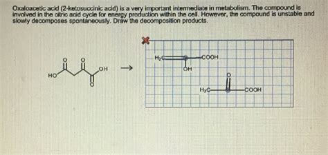 Solved Oxaloacetic Acid 2 Ketosuccinic Acid Is A Very