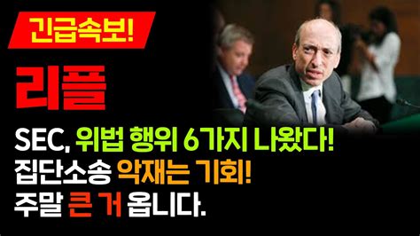 긴급속보 리플sec 위법 행위 6가지 나왔다집단소송 악재는 기회주말 큰 거 옵니다리플 리플전망 리플코인 리플대응