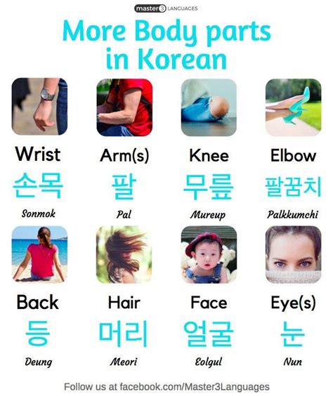 Body Parts In Korean Korean Lessons Korean Language Korean Language