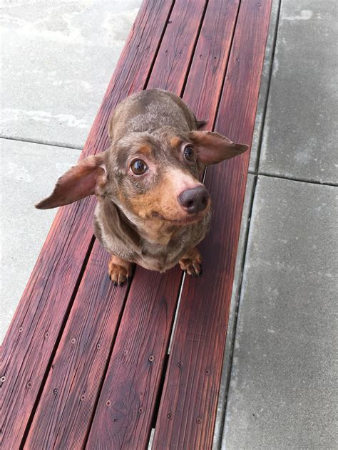 Hug your loved ones : r/behindthebastards