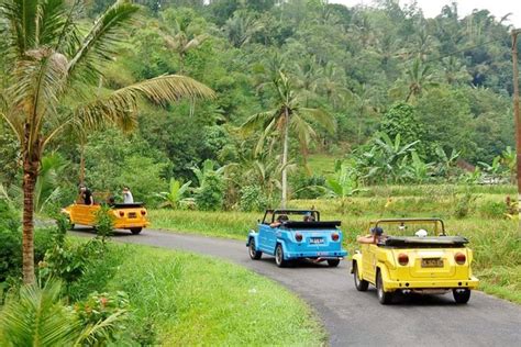 Tiket Ubud Vw Safari Bali Tour Volkswagen Classic Car Trip Harga