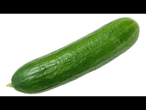 Official Statement On Jason Genova Sticking A Cucumber Up His Ass YouTube