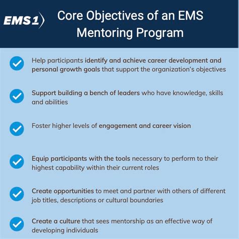 What Are The Roles And Responsibilities Of Mentors And Mentees In A