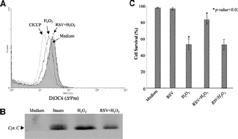 Inhibitory Effect Of Resveratrol Rsv On H 2 O 2 Induced Death