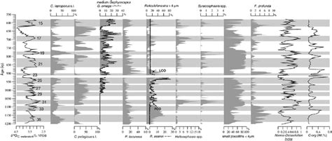 Abundance Patterns Of Selected Calcareous Nannofossil Taxa And