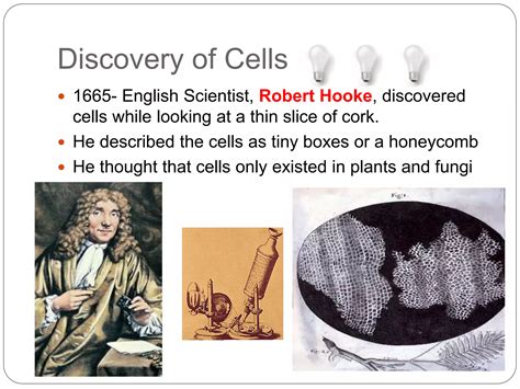 A Postulates Of The Cell Theory Ppt