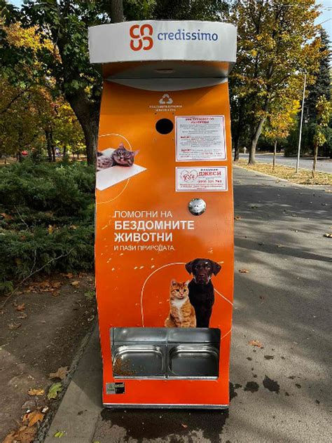 Поставиха първите автомати за хранене на бездомни животни в Русе - Утро