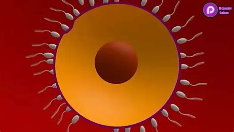 Free Cartoon Porn Compilation Porn Videos Xhamster