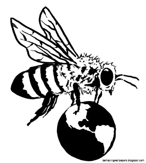 Bee Scientific Drawing At Getdrawings Free Download