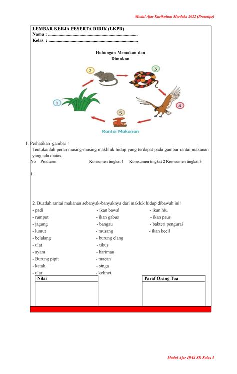 Modul Ajar Ipas Kelas 5 Kurikulum Merdeka Bab 1 Laporan Kkn Tentang