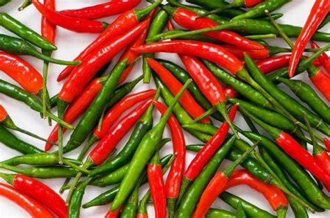 30 Thai Hot Pepper Seeds Non Gmo Seed World
