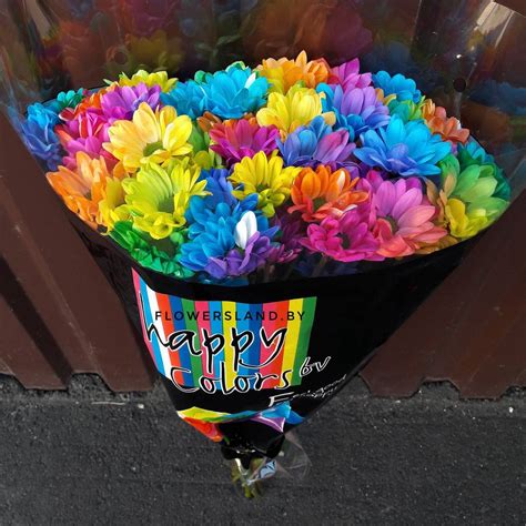 Радужные хризантемы | купить на FlowersLand.by