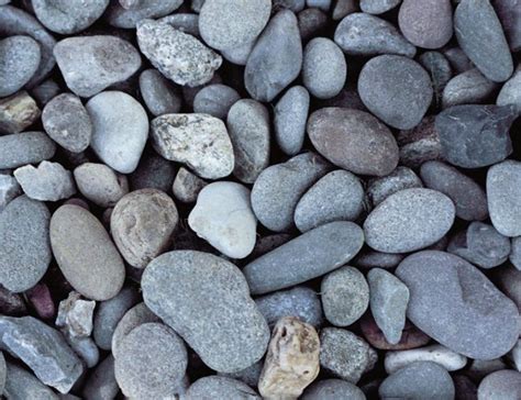 10 Foundation Covering Ideas You Can Live With House Foundation