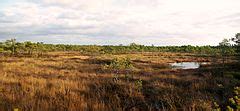 Category:Alam-Pedja Nature Reserve – Wikimedia Commons