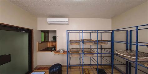 Five Sexy Big Tits College Sluts Get Fucked P Mao Hamasaki