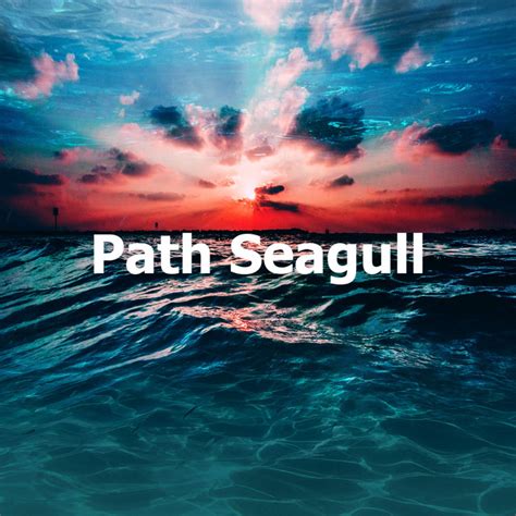 Path Seagull Album By Deep Water Research Recordings Spotify