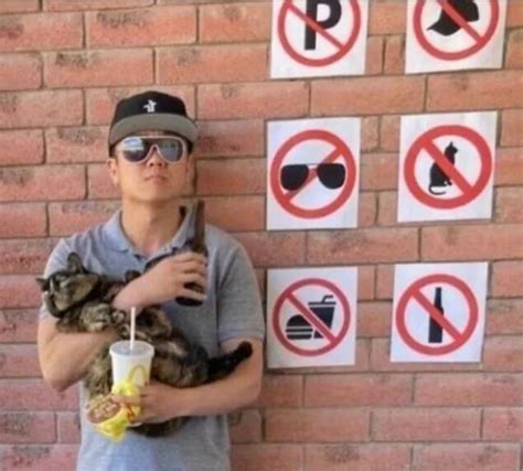 Fuck You Pictures Memes And Posts On Joyreactor