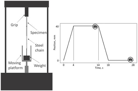 development   cyclic creep testing station tailored  pressure