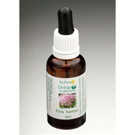 Pink Yarrow. Bach flower remedies.