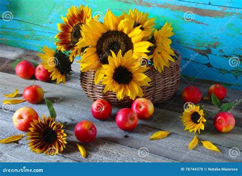 Still Life Of Sunflowers Stock Photo Image Of Produce 78744370
