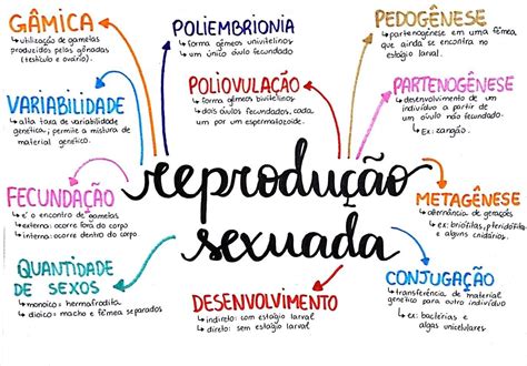 Reprodução Sexuada Mapa Mental RETOEDU