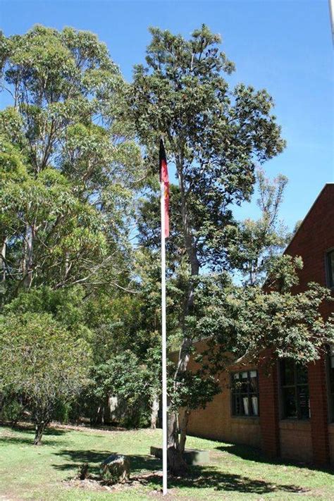 Tuggerah Lakes Secondary College War Memorial Monument Australia