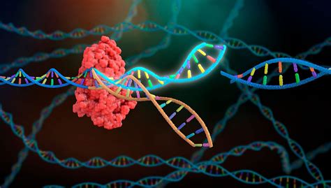 CRISPR-Cas9 : une première application en cancérologie | Pour la Science 