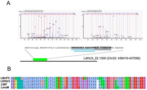 Genes Free Full Text A Proteogenomic Approach To Unravel New