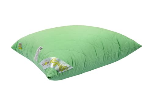 Подушка ЭВКАЛИПТ ( съёмный чехол ) 50х70