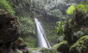 Air Terjun Tongkat Wisata Alam Indah Nan Cantik Di Langkat ITrip