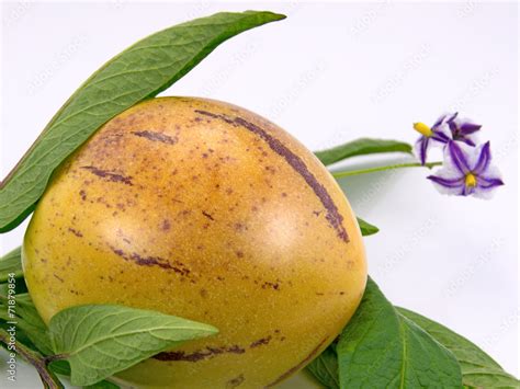 Pepino - Solanum muricatum Stock Photo | Adobe Stock