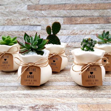 Onde Comprar Suculentas Para Lembrancinhas - Lembrancinhas de Suculentas e Cactos | Leve Amor - Design e Suculentas