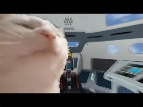 Cat Vibing To Lift Off Subnautica Spoilers YouTube