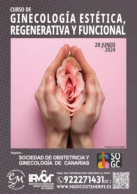 Curso Sobre Ginecolog A Est Tica Regenerativa Y Funcional Colegio