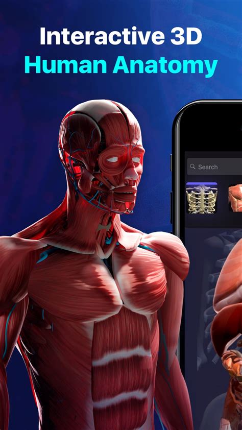 Anatomy Atlas Human Biology For Iphone Download