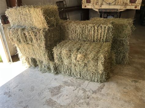 Brome And Alfalfa Square Bales Nex Tech Classifieds