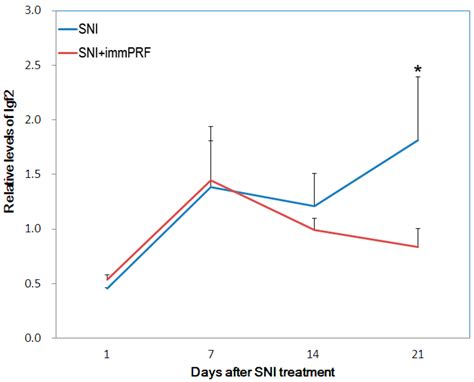 Ijms Free Full Text Long Term Anti Allodynic Effect Of Immediate Pulsed Radiofrequency