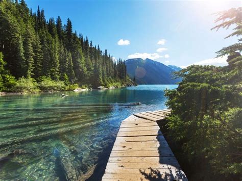 The 10 Coolest Things To Do In Whistler In Summer With Kids | Canada
