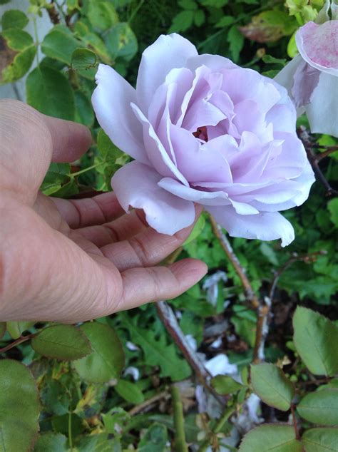 Biodiversity for Children | wcs-vucs@biodiversity