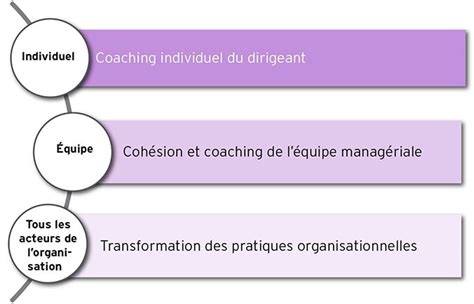 le coaching dorganisation
