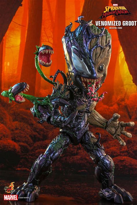 Hot Toys Spider Man Maximum Venom 1 6 Venomized Groot HYPERTOYS