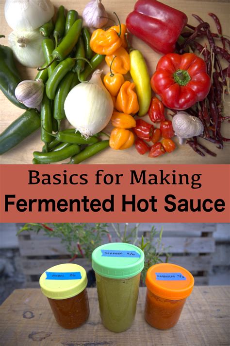 How To Make Fermented Hot Sauce Golden Thyme Homestead