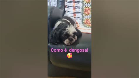 O Que É Ser Dengosa - Como é Dengosa!🥰 - YouTube