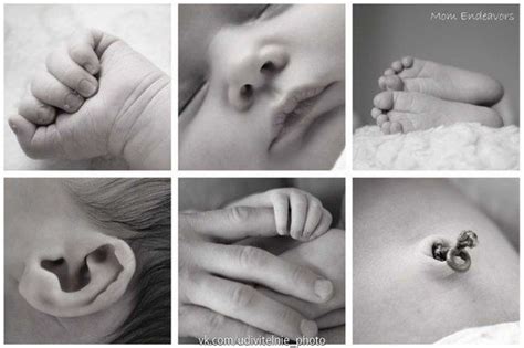 Фотография | Newborn pictures, Birth pictures, Newborn baby photography