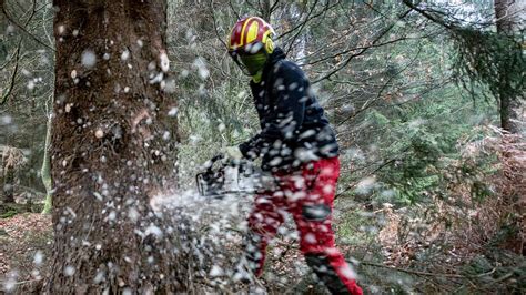 Senior Im Kaiserwald Von Baum Erschlagen Sohn Muss Alles Mit Ansehen