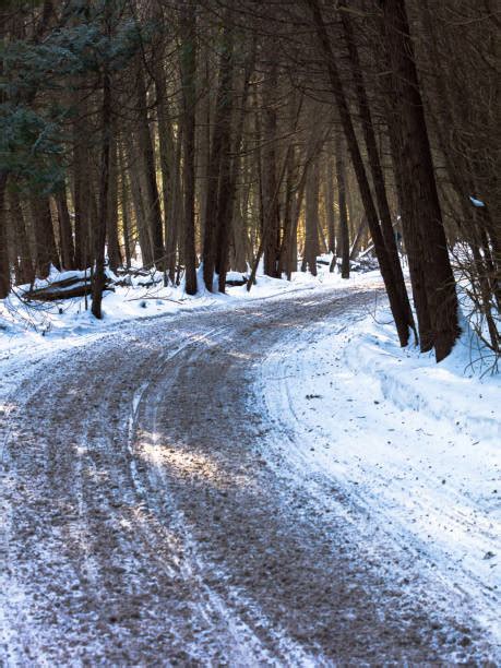 100+ Snowmobile Tracks In Sunset Stock Photos, Pictures & Royalty-Free Images - iStock