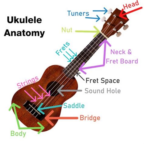 ukulele parts  pieces  constructed