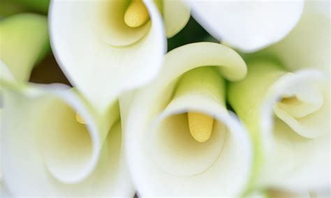 Product series - Henriëtte Faroche