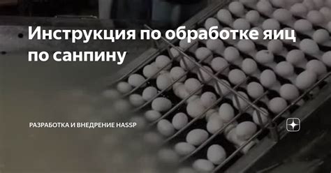 Инструкция по обработке яиц по санпину | Может пригодится | Дзен
