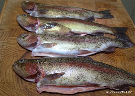 baked rainbow trout    food